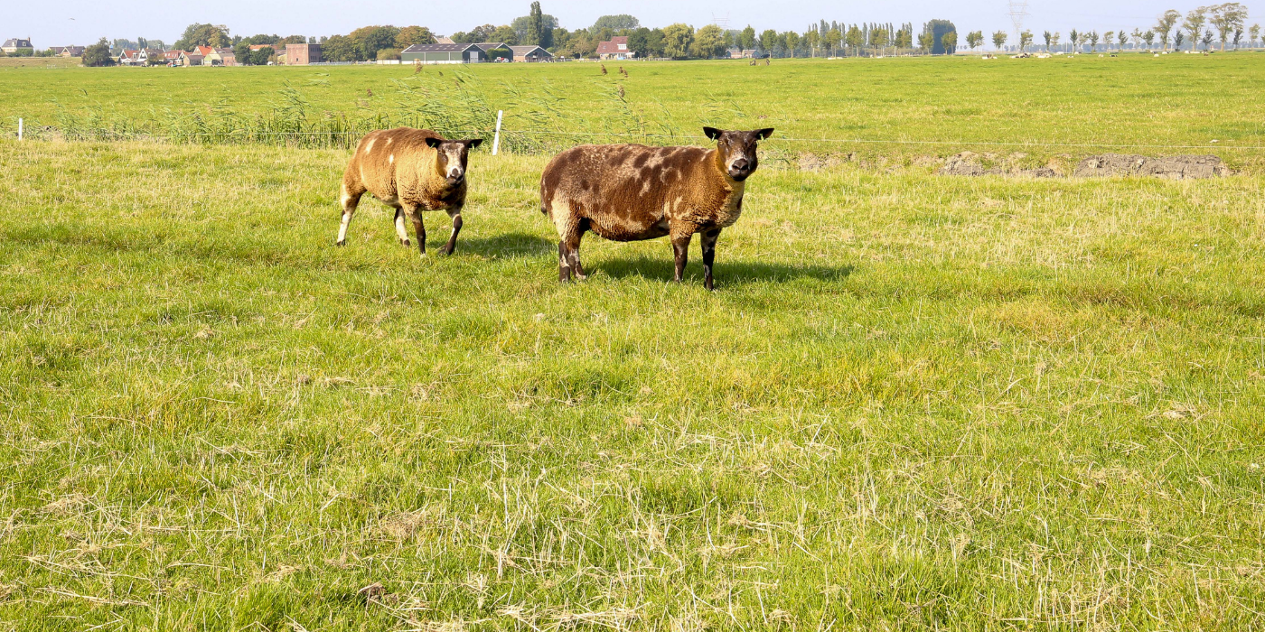 wonen in Purmerland